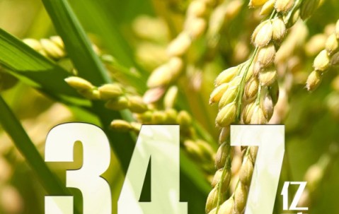 今晨体能课后，马赛外线爆发备战欧篮联，底气十足，医务组通报恢复(孙颖莎倒地爆冲得分引全场沸腾)-AYX SPORTS